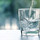 water, glass, background, nature, fresh, cool, green, clean, drink, drop, freshness, pure, bubble, life, refreshing, white, natural, mineral, splash, health, cold, environment, liquid, beverage, refreshment, flow, table, purified, healthy