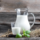 Milch
